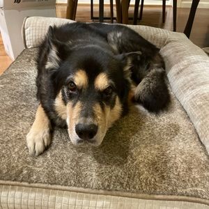 Meet your Posher, Natalie